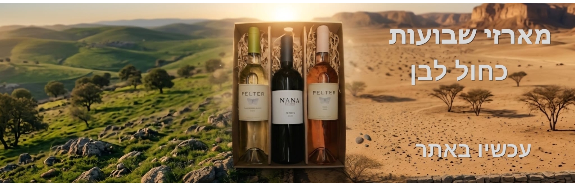 מארזי_שבועות